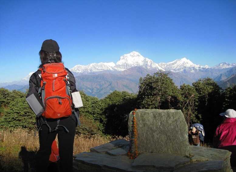 Picture 5 for Activity Annapurna - 4 Days Poon hill trek from Pokhara.