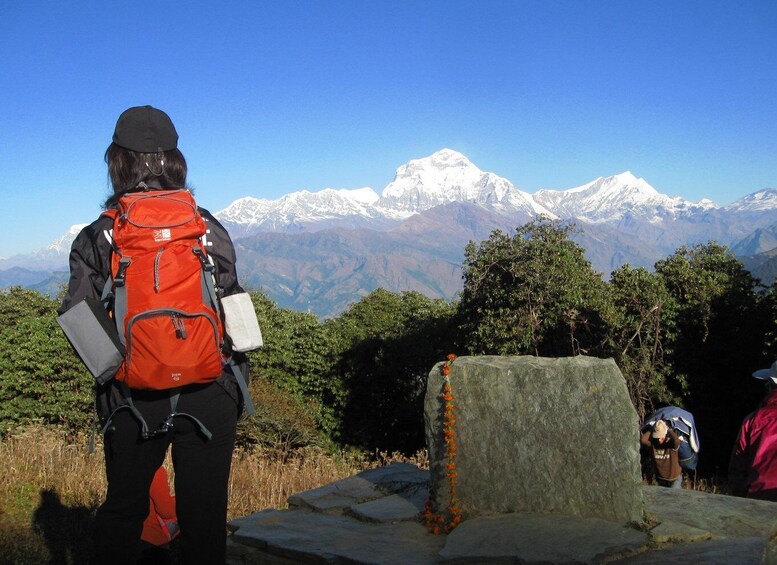 Picture 5 for Activity Annapurna - 4 Days Poon hill trek from Pokhara.