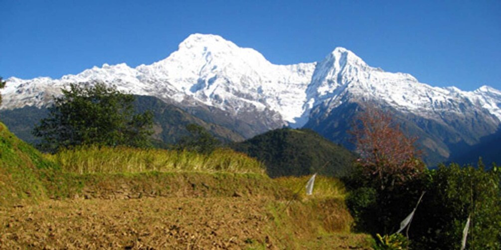 Annapurna - 4 Days Poon hill trek from Pokhara.