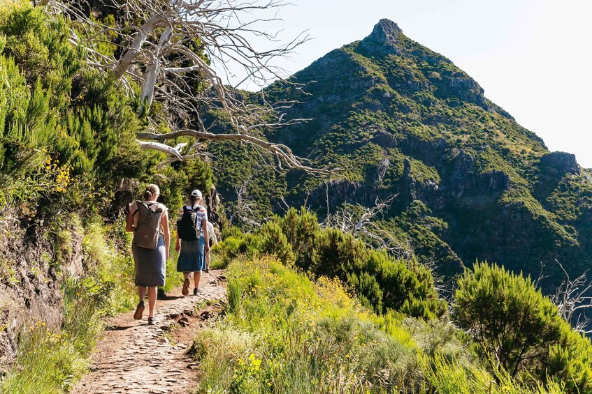 Picture 10 for Activity Funchal: Sunrise Hike from Pico do Arieiro to Pico Ruivo