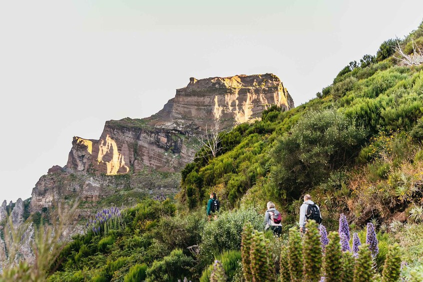 Picture 13 for Activity Funchal: Sunrise Hike from Pico do Arieiro to Pico Ruivo