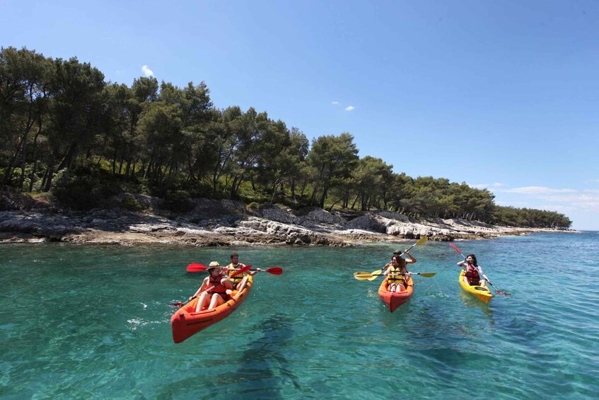 Picture 5 for Activity Brac Island: Supetar to Postira Kayaking Adventure