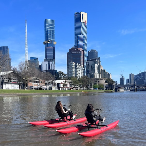 Picture 5 for Activity Yarra River, Melbourne Waterbike Tour