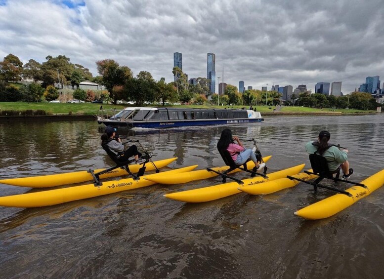 Picture 4 for Activity Yarra River, Melbourne Waterbike Tour