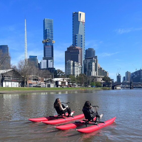 Picture 5 for Activity Yarra River, Melbourne Waterbike Tour