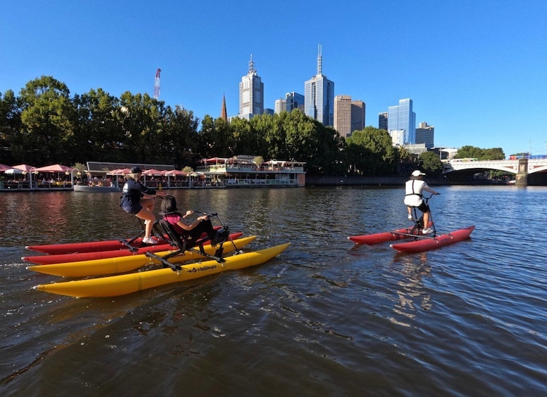 Picture 2 for Activity Yarra River, Melbourne Waterbike Tour