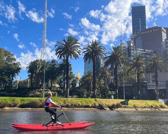 Picture 8 for Activity Yarra River, Melbourne Waterbike Tour