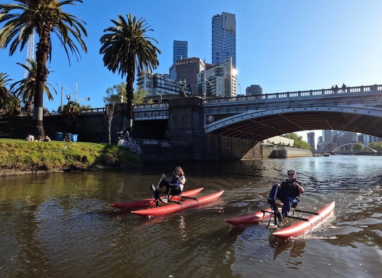 Picture 7 for Activity Yarra River, Melbourne Waterbike Tour