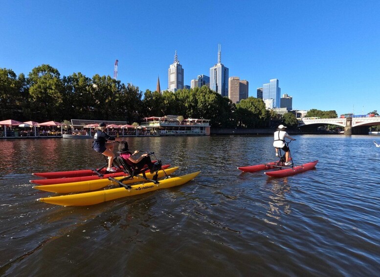 Picture 2 for Activity Yarra River, Melbourne Waterbike Tour