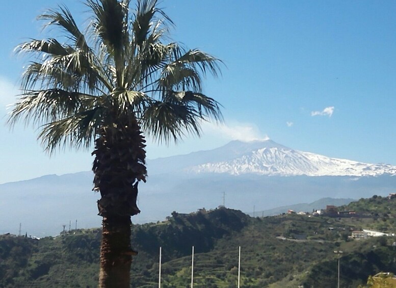 Picture 3 for Activity Sicily: Etna, Taormina, Giardini, and Castelmola Day Tour