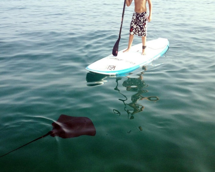 Picture 3 for Activity Marbella Bay Stand Up Paddleboarding Tour
