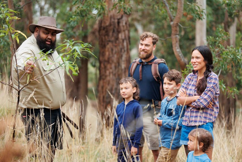 Picture 4 for Activity Budj Bim: Tungatt Mirring Half Day Gunditjmara Tour