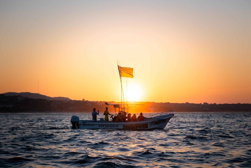 Picture 3 for Activity Puerto Escondido: Dolphin Watching