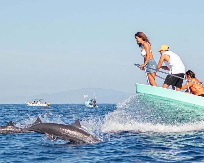 Picture 4 for Activity Puerto Escondido: Dolphin Watching