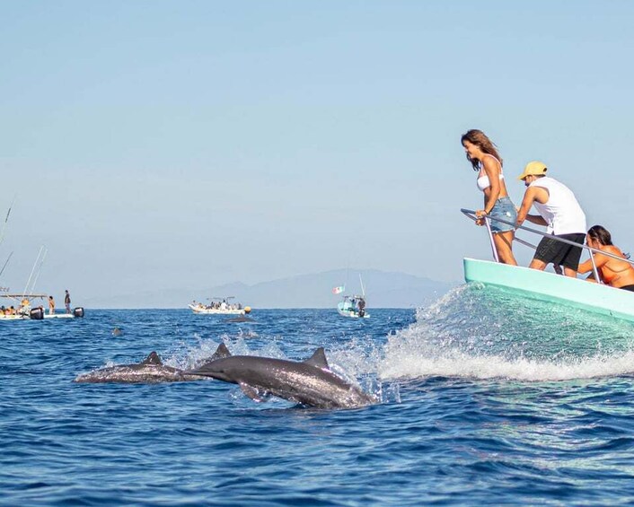 Picture 4 for Activity Puerto Escondido: Dolphin Watching