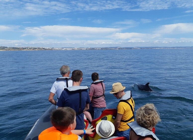 Picture 7 for Activity From Albufeira: Benagil Caves and Dolphins Guided Boat Tour