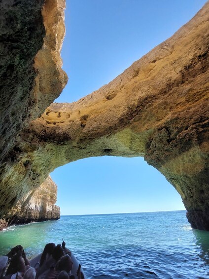 Picture 4 for Activity From Albufeira: Benagil Caves and Dolphins Guided Boat Tour