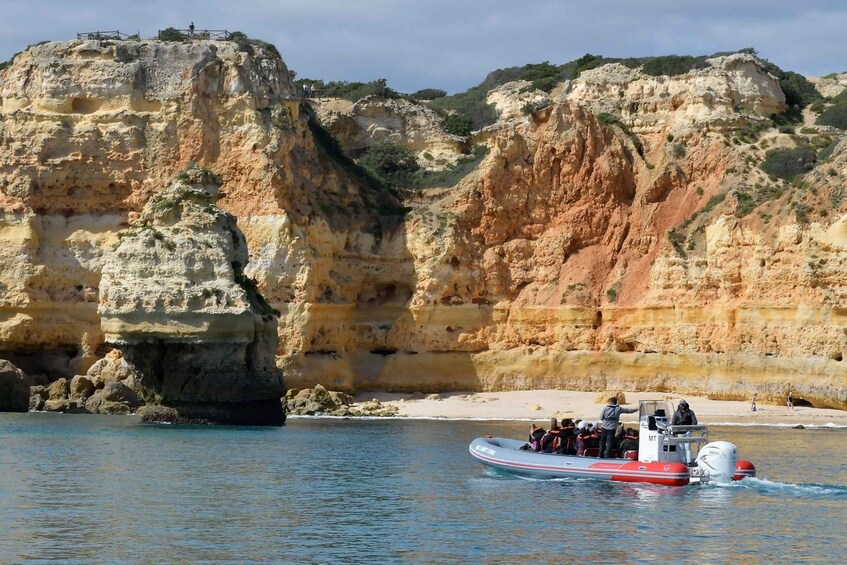 Picture 13 for Activity From Albufeira: Benagil Caves and Dolphins Guided Boat Tour