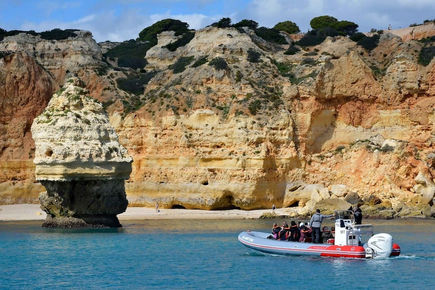 Picture 10 for Activity From Albufeira: Benagil Caves and Dolphins Guided Boat Tour