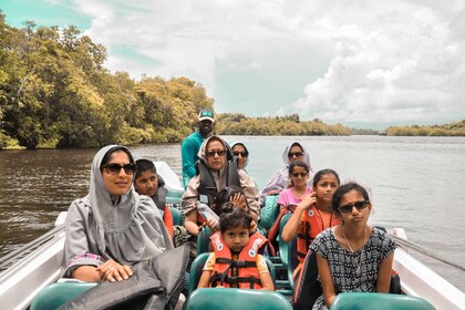 Desde Galle: excursión privada de un día al criadero de tortugas y Madu Gan...