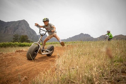 Stellenbosch Winelands Scooter & 4x4 Excursion