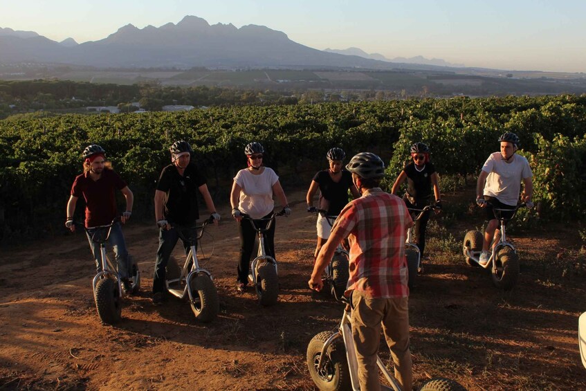 Picture 2 for Activity Stellenbosch Winelands Scooter Excursion: Middelvlei