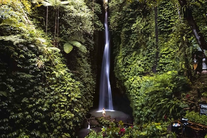 Bali: Leke-Leke Wasserfall, Affenwald & Dschungelschaukel Tour