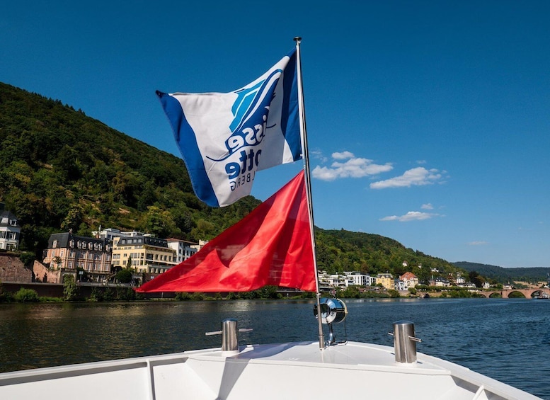 Picture 2 for Activity Heidelberg: Neckar River Sightseeing Cruise with a Drink