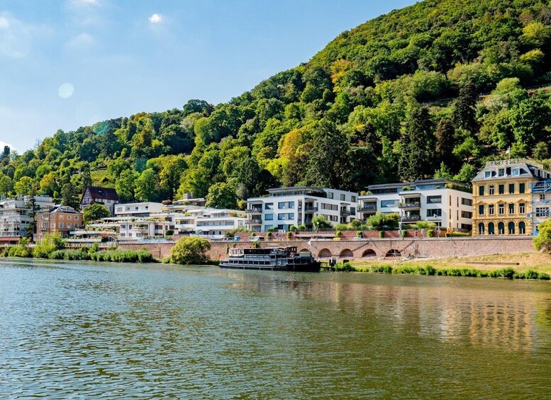 Picture 5 for Activity Heidelberg: Neckar River Sightseeing Cruise with a Drink