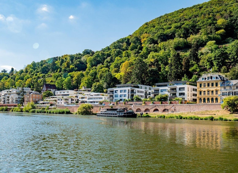 Picture 5 for Activity Heidelberg: Neckar River Sightseeing Cruise with a Drink
