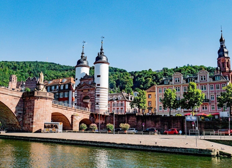 Picture 3 for Activity Heidelberg: Neckar River Sightseeing Cruise with a Drink