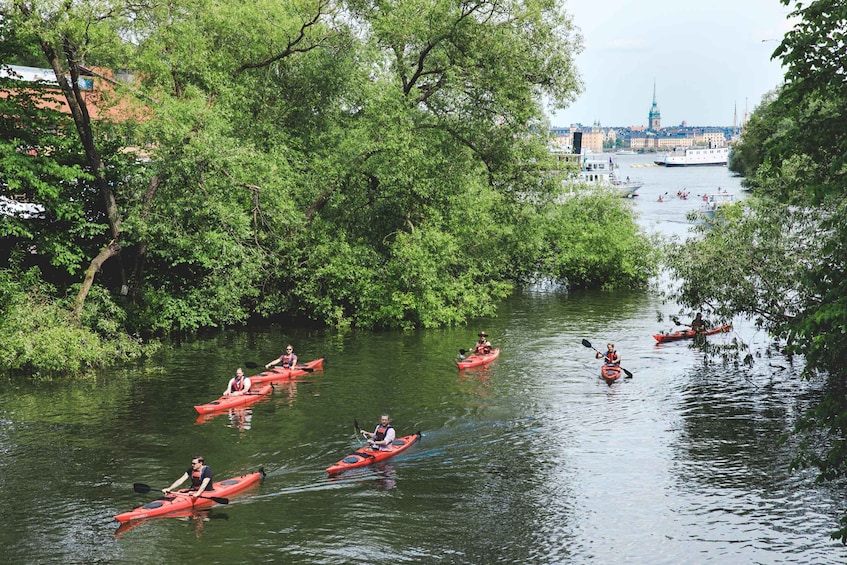 Picture 3 for Activity Stockholm: 2-Hour Guided Kayak Tour in City Center