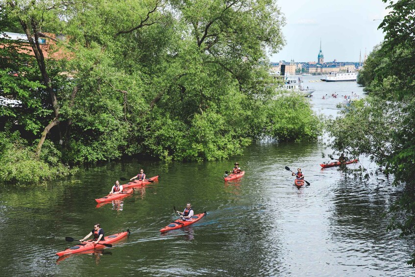 Picture 3 for Activity Stockholm: 2-Hour Guided Kayak Tour in City Center