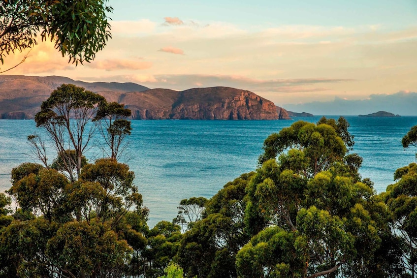 Picture 11 for Activity 3D Tasmanian Highlights: Hobart, Port Arthur & Bruny Island
