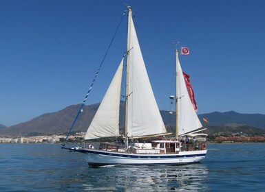 Estepona : Croisière en voilier pour l'observation des dauphins avec boisso...