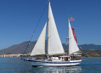 Estepona: Seilbåtcruise med delfinsafari og drikkevarer