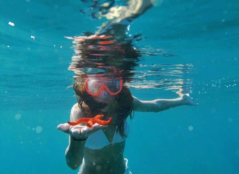 Picture 12 for Activity Pula: Sea Cave Kayak Adventure, Snorkeling and Cliff Jumping