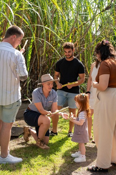 Picture 3 for Activity Sarina: Guided Tour of the Sarina Sugar Shed with Tasting