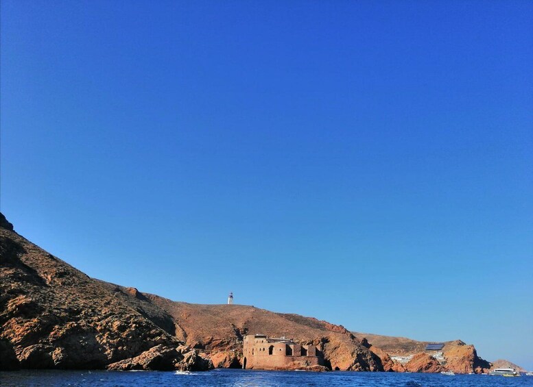 Picture 2 for Activity Peniche: Berlengas Island Round-Trip Ferry