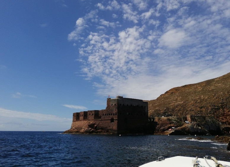 Picture 5 for Activity Peniche: Berlengas Island Round-Trip Ferry