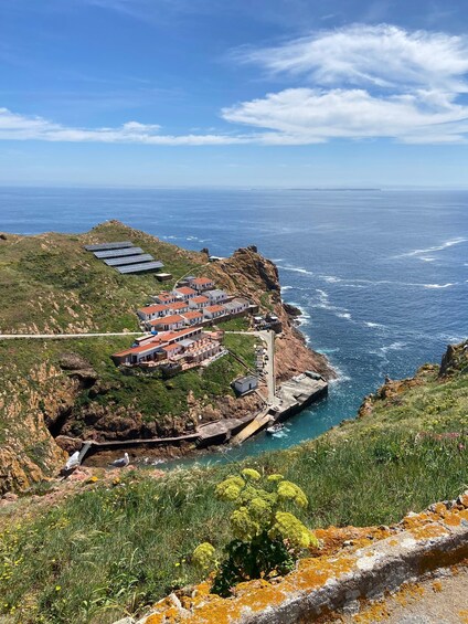 Picture 5 for Activity Peniche: Berlengas Island Round-Trip Ferry