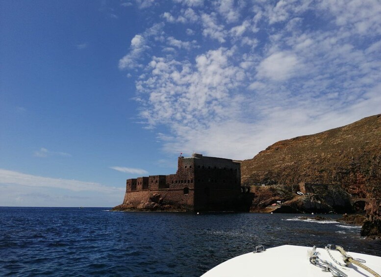 Picture 5 for Activity Peniche: Berlengas Island Round-Trip Ferry with Island Stop