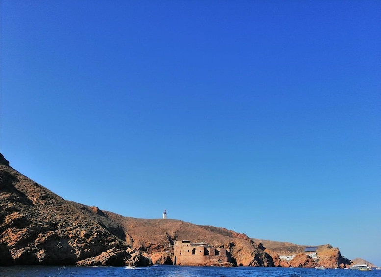 Picture 4 for Activity Peniche: Berlengas Island Round-Trip Ferry with Island Stop