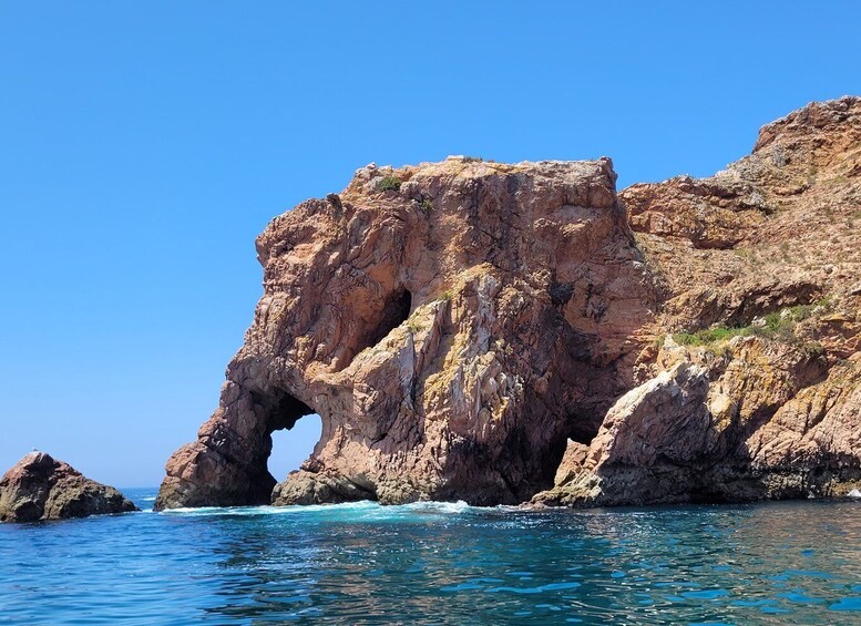 Picture 3 for Activity Peniche: Berlengas Island Round-Trip Ferry with Island Stop