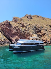 Peniche: ferry de ida y vuelta a la isla Berlengas con parada en la isla