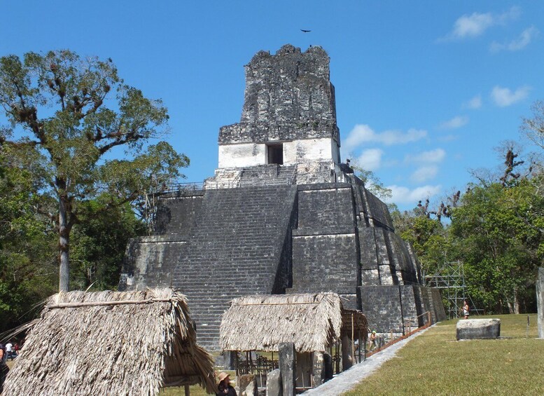 Picture 2 for Activity From Flores: Tikal Ruins Guided Day Trip