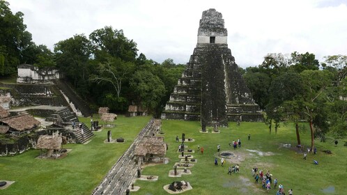 From Flores: Tikal Ruins Guided Day Trip