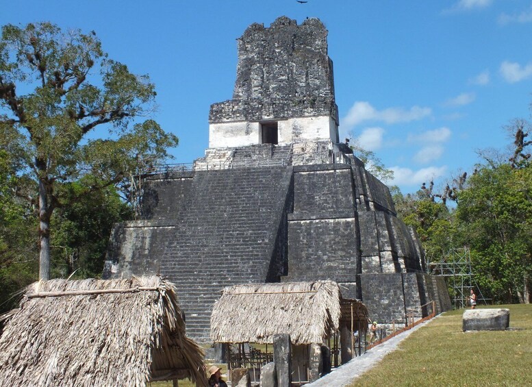 Picture 2 for Activity From Flores: Tikal Ruins Guided Day Trip