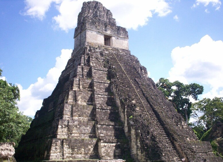 Picture 4 for Activity From Flores: Tikal Ruins Guided Day Trip