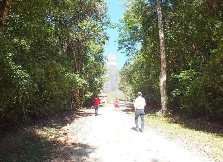 Picture 3 for Activity From Flores: Tikal Ruins Guided Day Trip